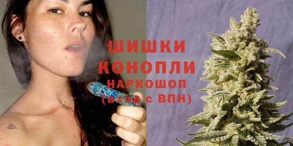 шишки Михайловка